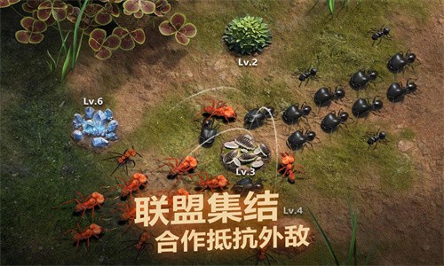 小小蚁国下载安装手游app截图
