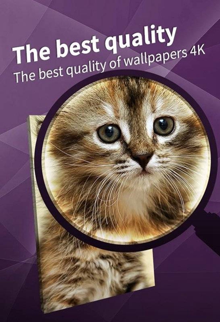 4kwallpapers最新版下载手机软件app截图