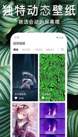 灵猫桌面壁纸最新版下载手机软件app截图