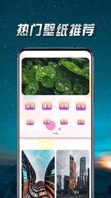 壁纸最美APP新版下载手机软件app截图