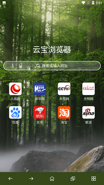 云宝浏览器官网版下载手机软件app截图