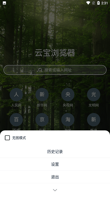 云宝浏览器官网版下载手机软件app截图
