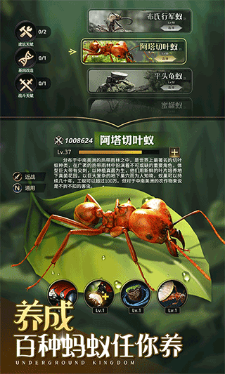 小小蚁国官服手游app截图