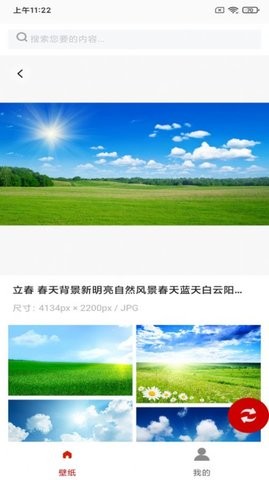 白鸽壁纸手机软件app截图