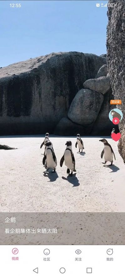 嘟嘟短视频红包版下载手机软件app截图