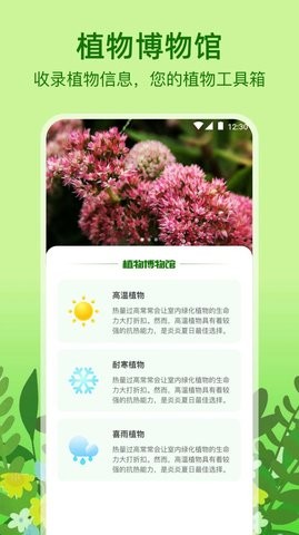 植物天气手机软件app截图