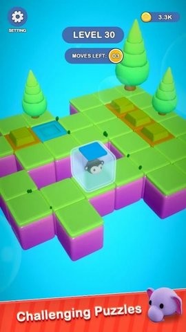 猫猫迷宫冒险手游app截图
