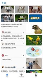 皁千韵亿手机软件app截图