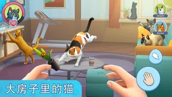 我的宠物猫模拟器手游app截图