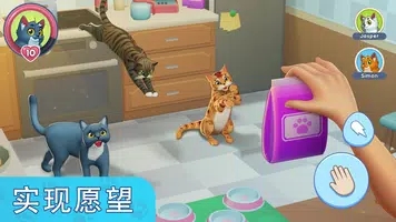 我的宠物猫模拟器手游app截图