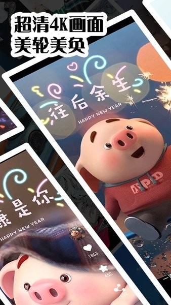 视频壁纸秀秀手机软件app截图