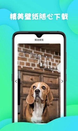 神准天气手机软件app截图