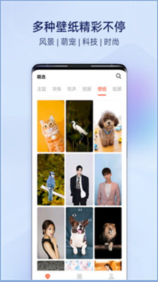 晚夏壁纸手机软件app截图