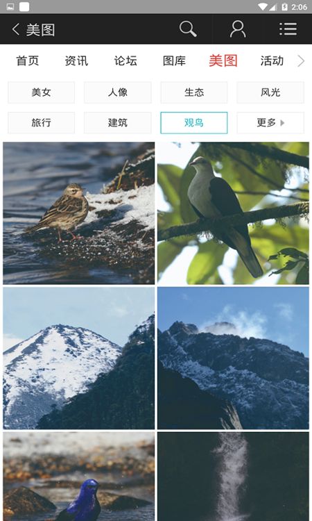 蜂鸟图库官方版手机软件app截图