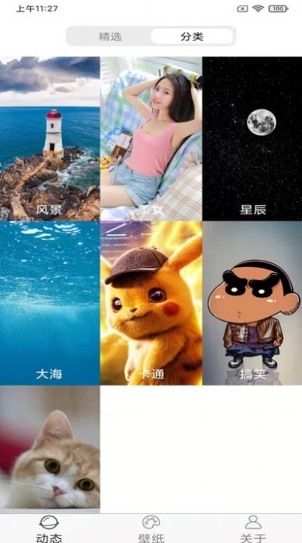 飞花动态壁纸最新版本手机软件app截图