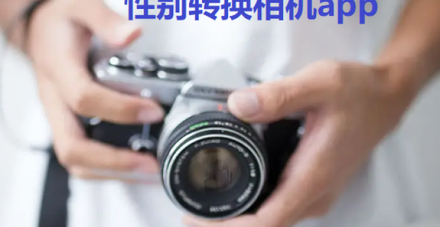 性别转换相机app大全
