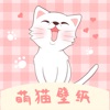 萌猫桌面壁纸APP手机版