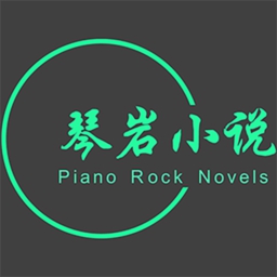 琴岩小说2022最新版