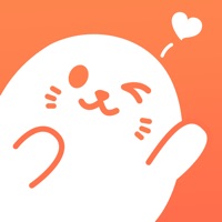 hollaApp软件下载