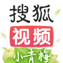 搜狐视频官方版下载安装