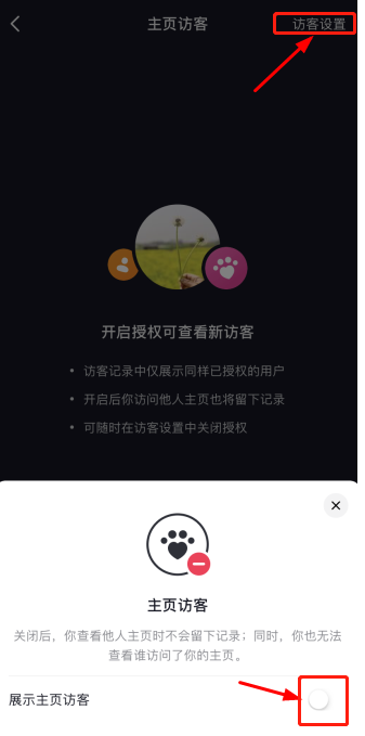 《抖音》主页访客功能介绍