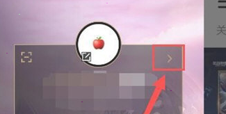 《掌上英雄联盟》访客记录查看方法