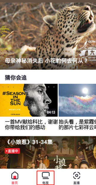 《央视频》看卫士直播方法