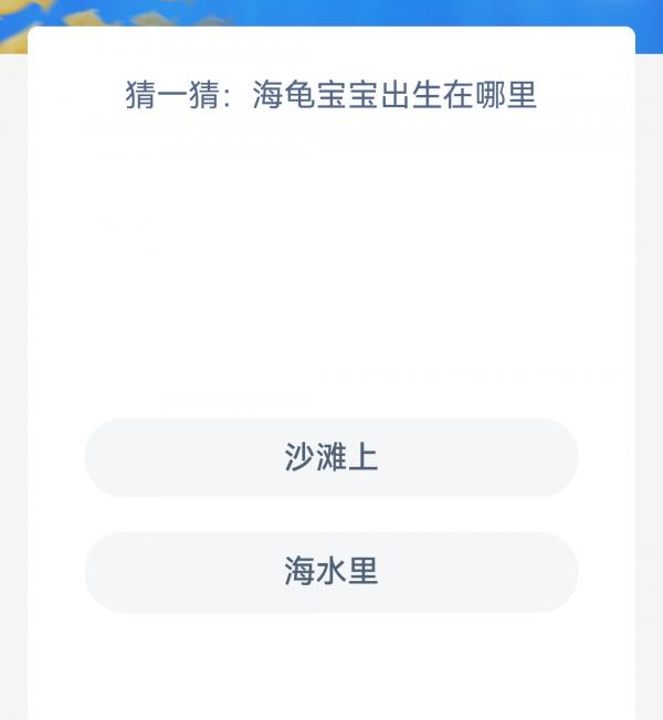 支付宝11.8神奇海洋答案分享-海龟宝宝出生在哪里图片1