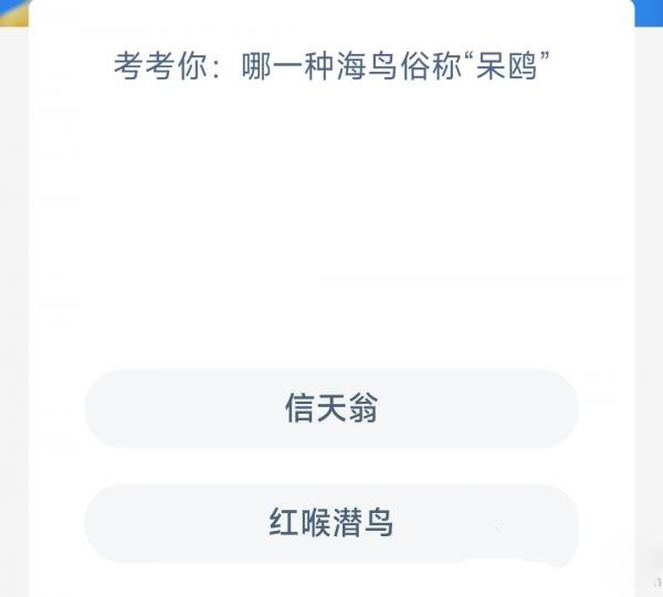 蚂蚁海洋3月14日最新答案-哪一种海鸟俗称呆鸥图片1