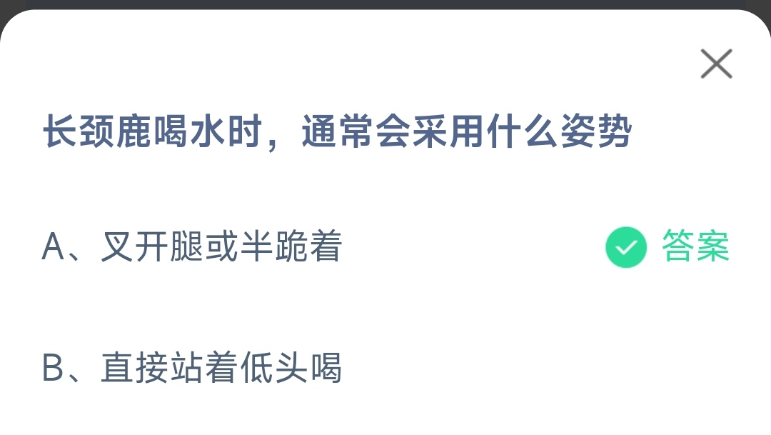 蚂蚁庄园5月17日答案最新-长颈鹿喝水时通常会采用什么姿势图片1