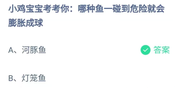 蚂蚁庄园5.25今日答案最新-哪种鱼一碰到危险就会膨胀成球图片1