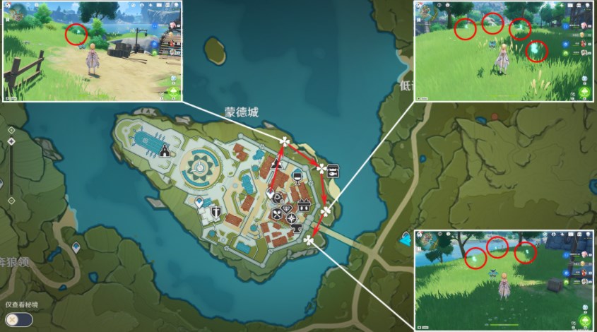 原神3.8蒲公英位置分布图-原神3.8蒲公英采集路线图最新分享图片2