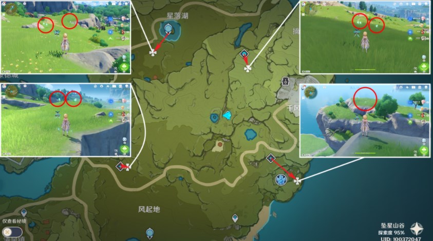 原神3.8蒲公英位置分布图-原神3.8蒲公英采集路线图最新分享图片3