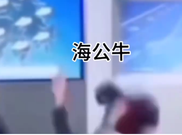 《抖音》海公牛梗是什么意思？