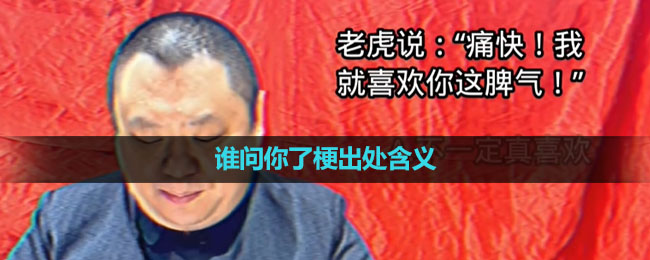 《抖音》谁问你了梗是什么意思？