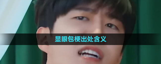 《抖音》显眼包梗什么意思？