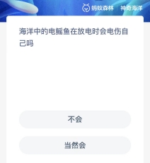 《支付宝》10.30神奇海洋答案