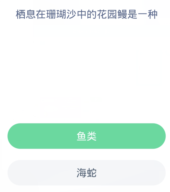 《支付宝》2024神奇海洋的每日问题分享汇总