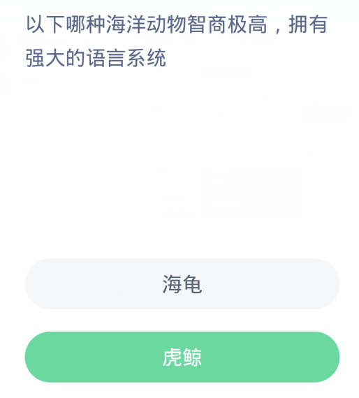 《支付宝》2024神奇海洋的每日问题分享汇总