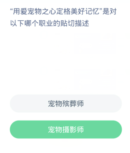 《支付宝》2024蚂蚁新村的答案分享汇总