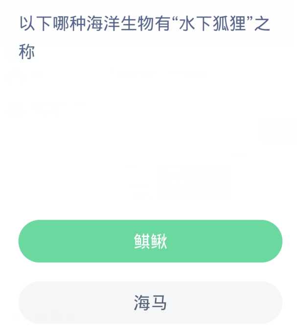《支付宝》2024神奇海洋的每日问题分享汇总