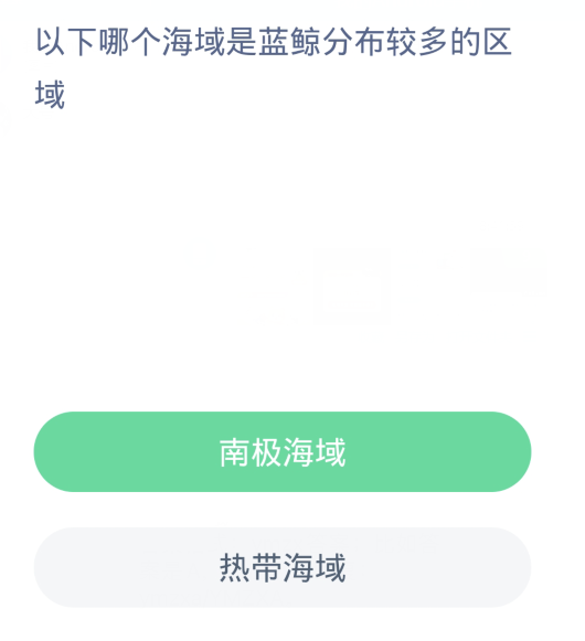 《支付宝》2024神奇海洋的每日问题分享汇总